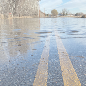 Flood Small Business Insurance
